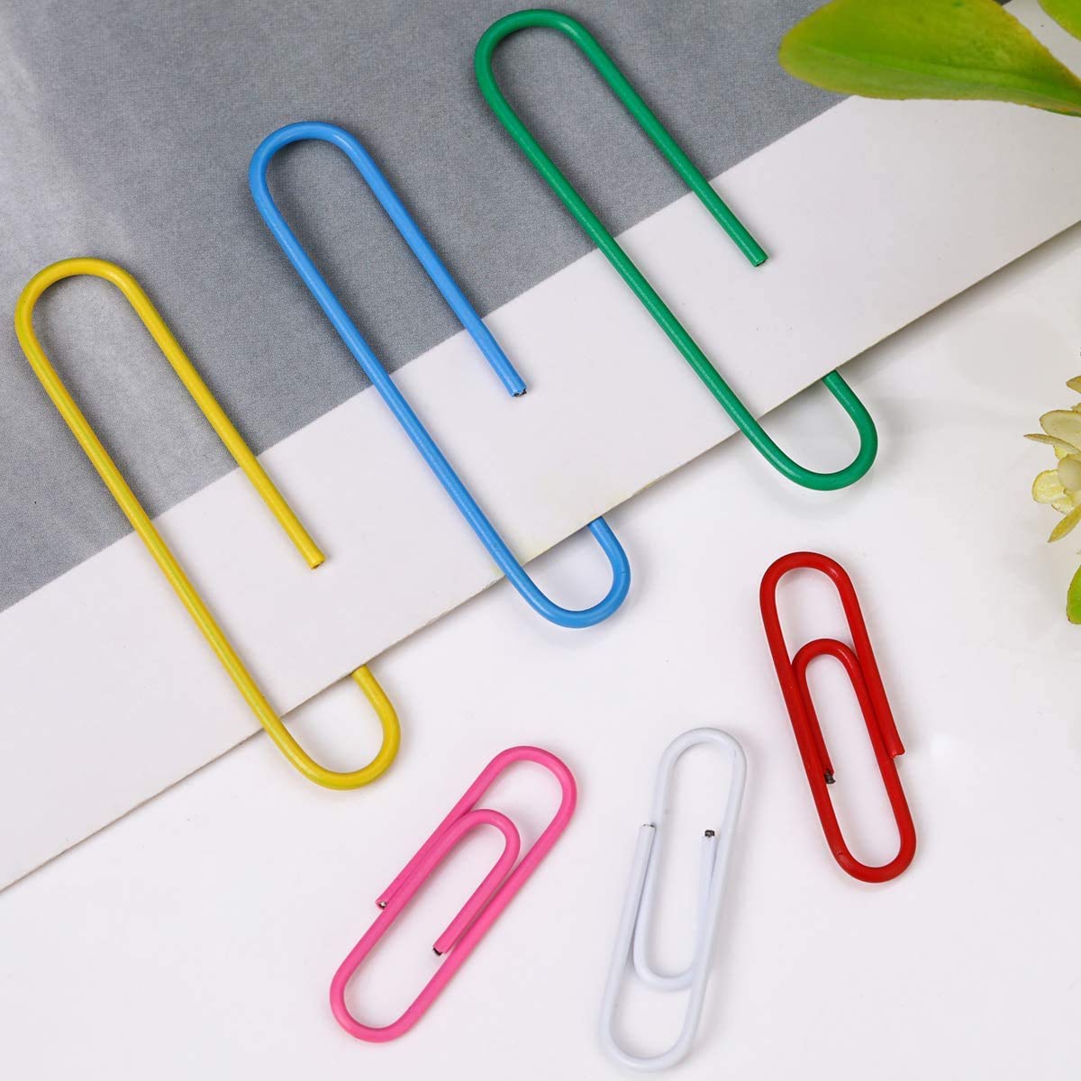 Coloured Paper Clips Medium