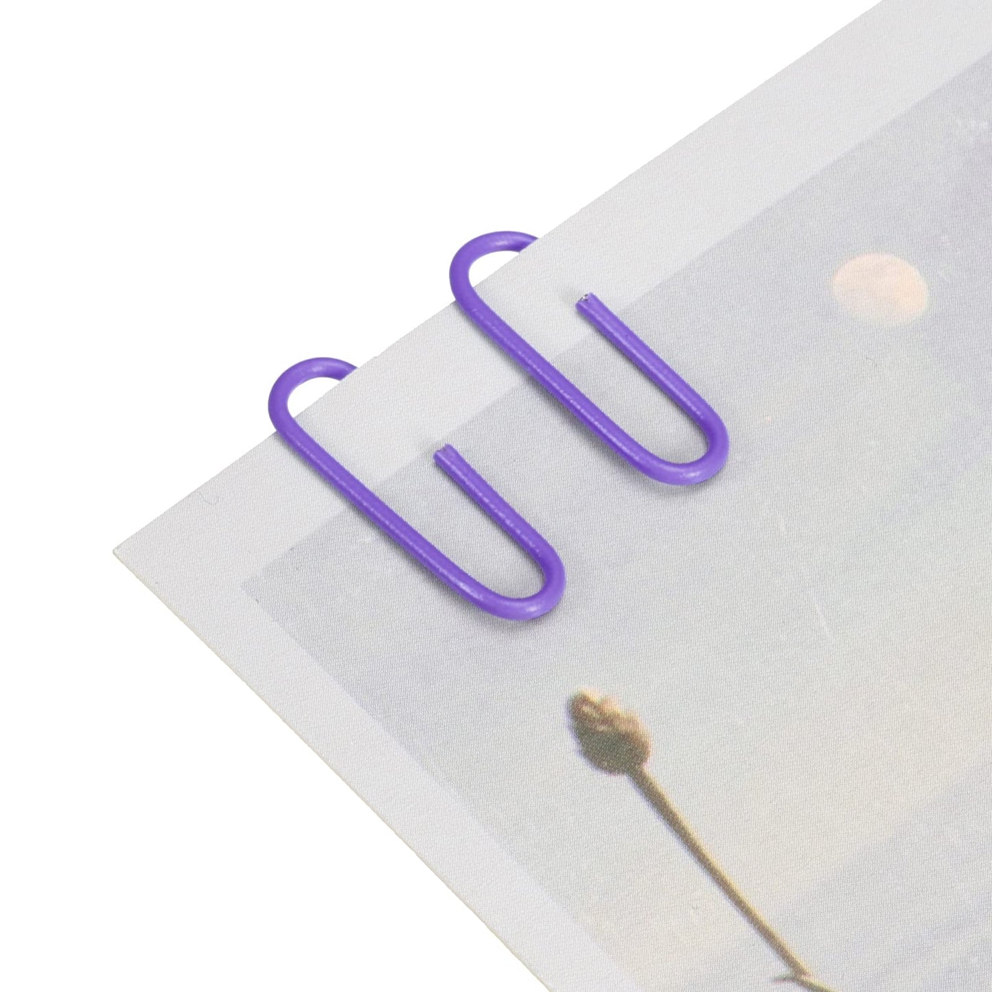 Paper clips Purple